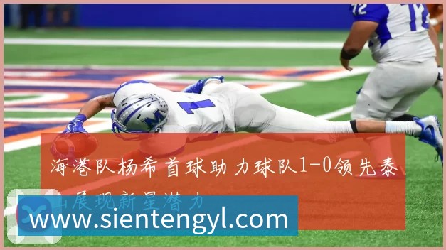 战术分析频道