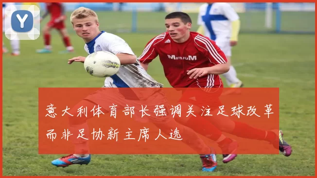 奖项证书